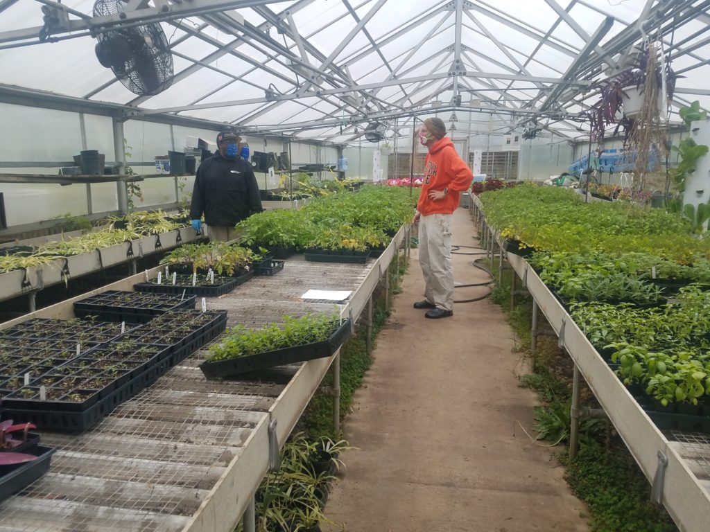 PGSCD Donates Vegetable, Herb, and House Plants to Local Food ...