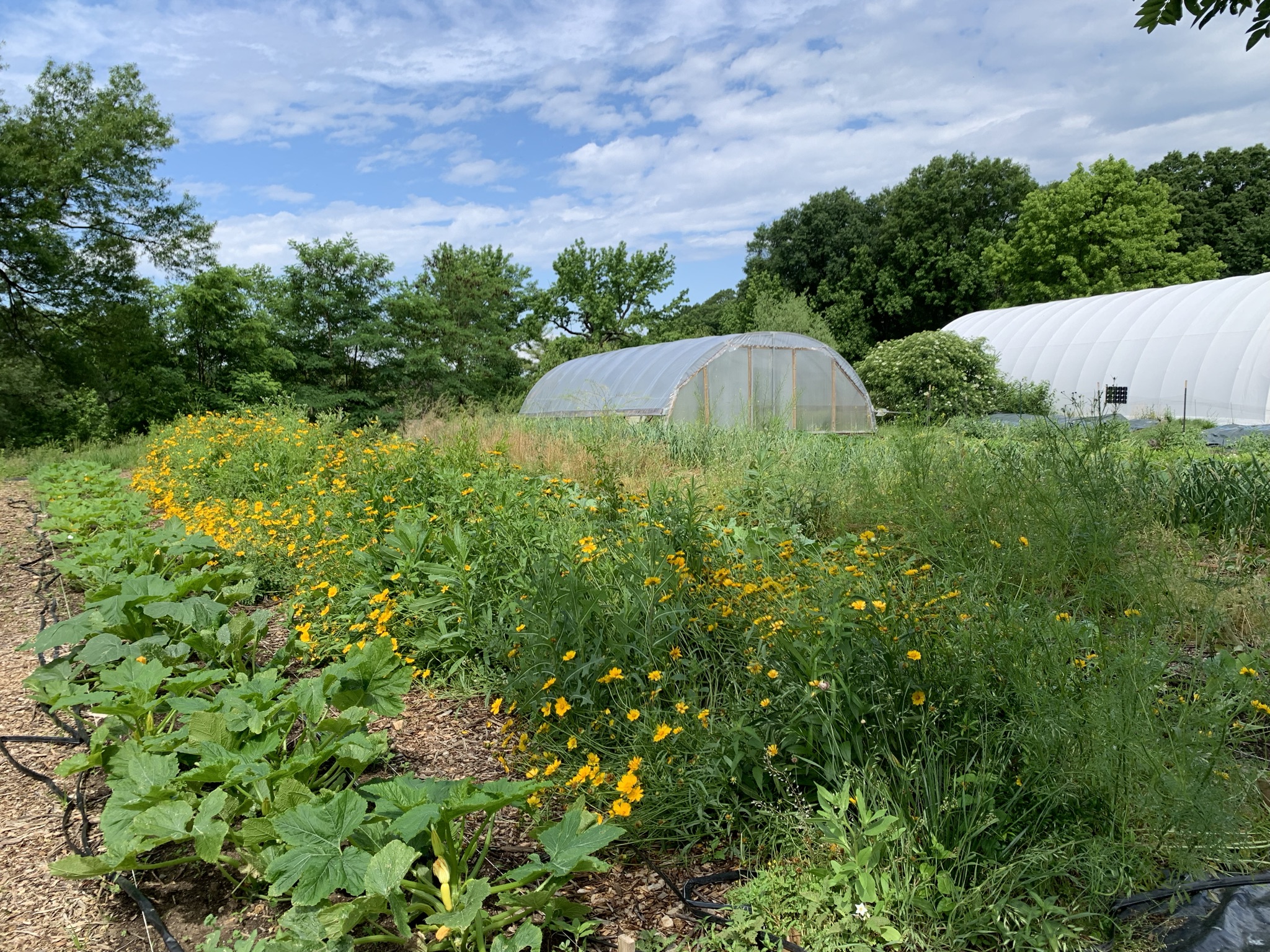 start-an-urban-farm-prince-george-s-soil-conservation-district